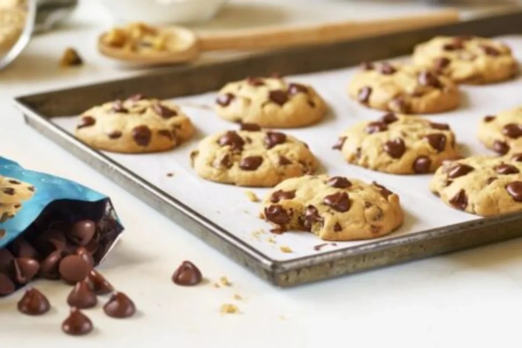 Are Enjoy Life Cookies Vegan