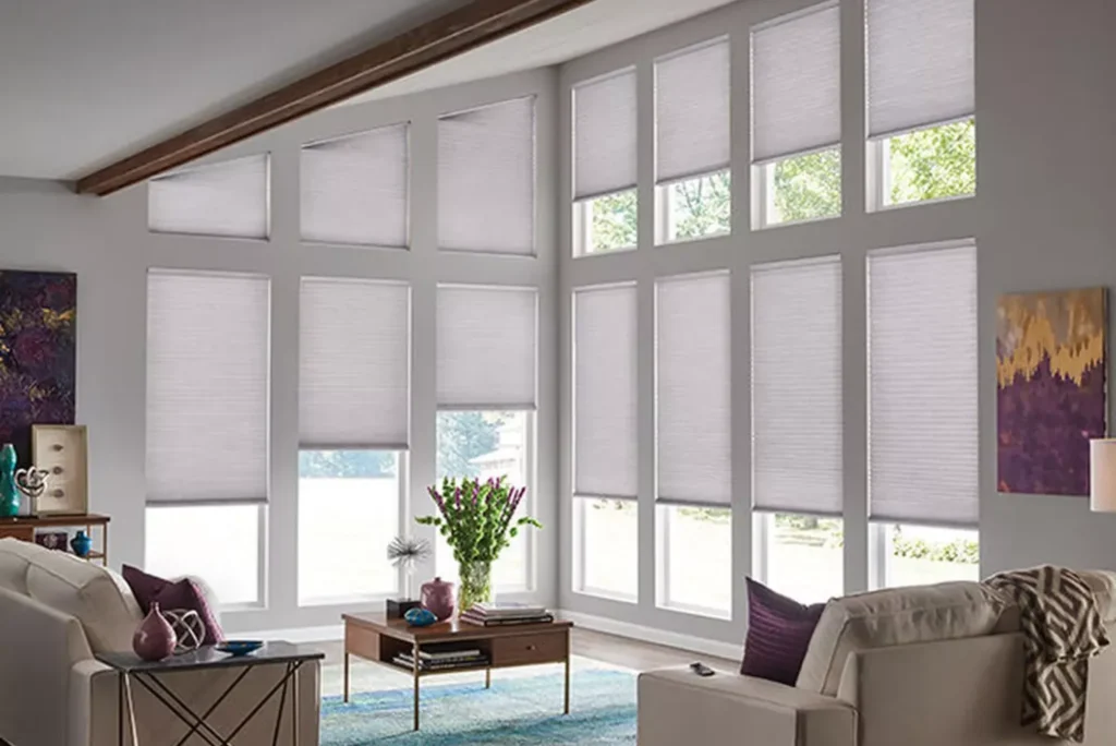 Excelsior Paint & Design Carpet One Floor & Home