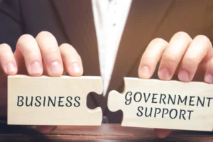 Government Business Loans