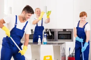 What makes professional cleaning services in Liverpool stand out