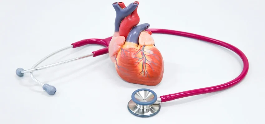 Heart Disease Risk Factors and Prevention